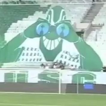 Só falo de Palmeiras, se gostasse de outra coisa, falava de outra coisa...