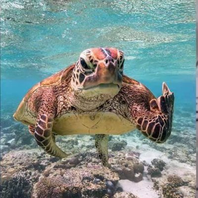 Arlix1008's profile picture. 