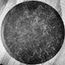Killa Turner (@tar_pit) Twitter profile photo Killa Turner (@tar_pit) Twitter profile photo