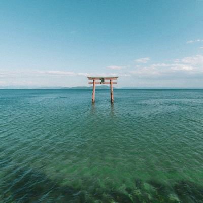 9zfJeo5qA5jJmFx's profile picture. 日本最高⛩️ 中共は、世界のガン細胞、ウイグル、チベット、香港、モンゴルに光を！ただし、エセ愛国者(金集め第一主義者)に注意！頭の悪い保守も嫌いだ