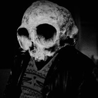 gordon (@markwahlbird) 's Twitter Profile