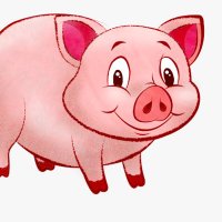 RTPiggy (@rtpiggy12) 's Twitter Profile