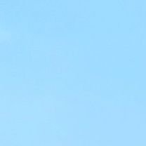 20↑　雑多　ROM　身内あか　出戻りRKRN　えぶほすからの七人