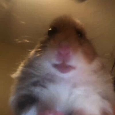 prisonertolies's profile picture. just another online diary of the mentally ill
hw:245|lw:105| 5'2 | 25