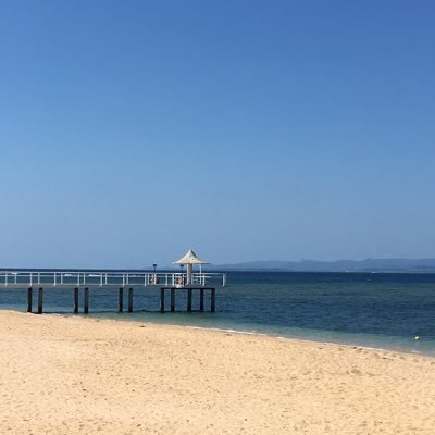 zd_sea's profile picture. 海、夕日が好き❣️