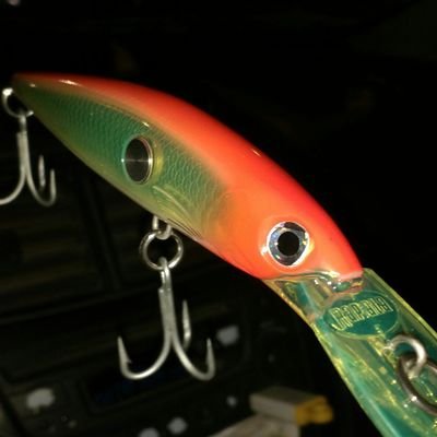 Jorge02409420's profile picture. pescador Deportivo
basquet