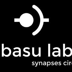 basulab2's profile picture. Basu Lab @ NYU synapses circuits learning - mechanisms underlying stability and flexibility of neural representations of the external world