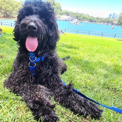 Belle (@belle__) / Posts / X