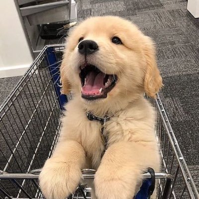 katuifunyaii's profile picture. 