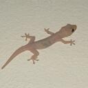 Andy Beard - @DreadLion72 - Twitter