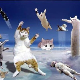 pkdnyn's profile picture. 何でも屋エンジニア。気付けばログの奴隷。フロントもインフラもやるけど感謝されるのは障害対応だけ。