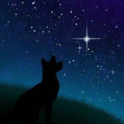 Stargazer Studiosさんのプロフィール画像