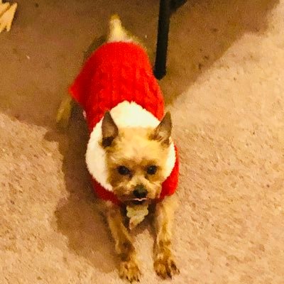 MOCHA3170's profile picture. 