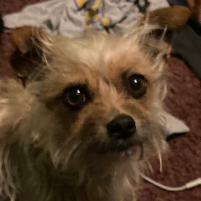 Tyler06715747's profile picture. 