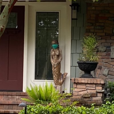 chesselkins's profile picture. 