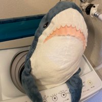 aki(瀬戸サブ) (@aki101098) / X