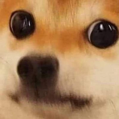 morsinfernaliss's profile picture. 