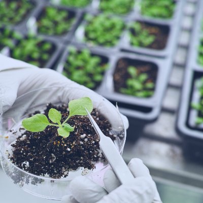 Open access, peer-reviewed journal with latest trends in biology! #researchbiology
To submit an article: https://t.co/xhin0zGI79…