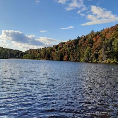 MarckyMark15's profile picture. mon jardins secret, that is all...(with Morgan Freeman voice)🤣