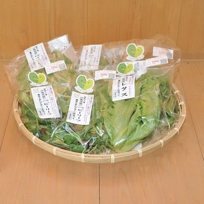 植物工場伊勢菜園の作業やちょっとした事を呟きます