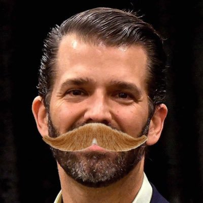 Not Donald Trump, Jr. • Son of @barronjohn1946 & EVP of Barron Org. • All tweets are satire