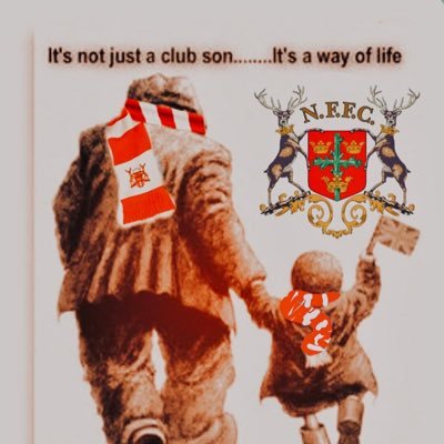 Dizz44456823's profile picture. Red dog by birth & choice