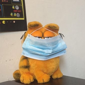 Your daily dose of Garfield | Dm submissions are open