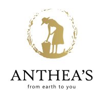 Anthea's(@antheas_world) 's Twitter Profile Photo