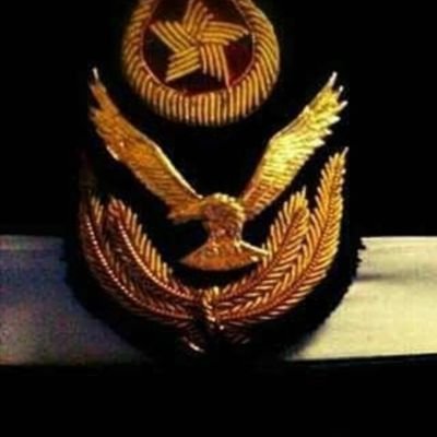 TahreemShahid10's profile picture. 