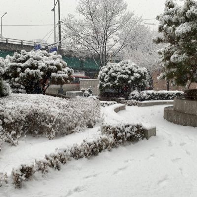 0J8kahzSCuHHWq0's profile picture. 공부 중