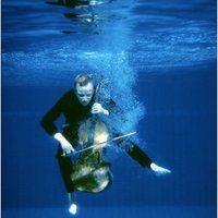 Christopher Allan (@christo72430426) 's Twitter Profile