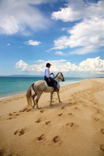 Literally 100 kilometers of virgin beach is what awaits you when you book a ride at CavalosNaAreia ...