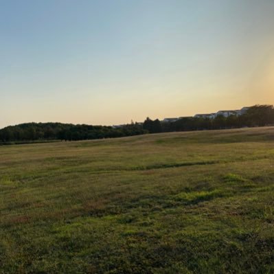 xiehai1's profile picture. transformer