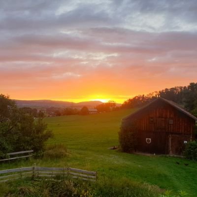 masterch3ef's profile picture. theoretical physics, consciousness