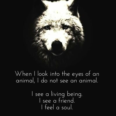 I am interrested in all things, equality to all, justic for all the wrong do'ers, I am a Christian and love it