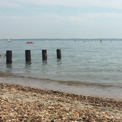 Truthseeker1238's profile picture. Woman ( adult female). I believe in old-fashioned values: democracy; integrity; decency; standards in public office; open logical debate. Patriotic. Christian