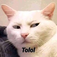 hehe (@holkurrr) 's Twitter Profile