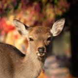 junki (@tekutekujunki) Twitter profile photo