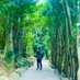 @matsuzo_k
