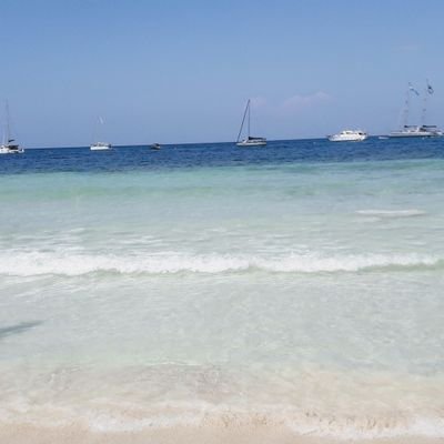 Franciscorm1967's profile picture. 