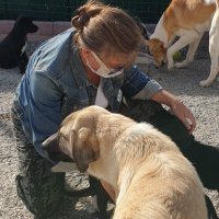 aydan ohri (@aydanohri) 's Twitter Profile