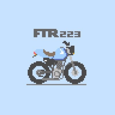 にんにく🥟FTR223🔰キャンプ🏕ゲーム🎮好き