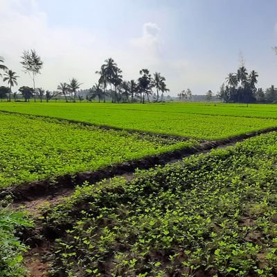 paventhan89's profile picture. A #security professional.