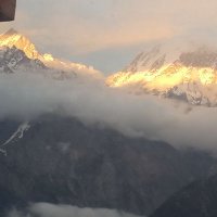 N SOOD (@nsood6) 's Twitter Profile