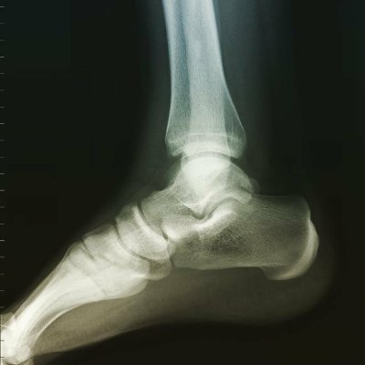 rickypigazzini's profile picture. 