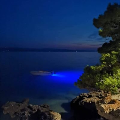 PlavecMarko's profile picture. crypto enthusiast