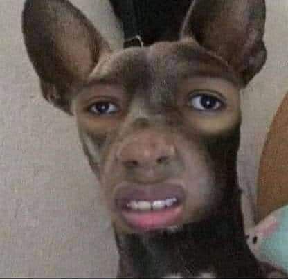 mzwaResAaSWvbAR's profile picture. 