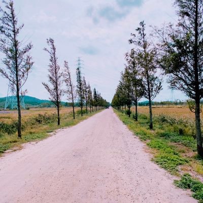 spring_march19's profile picture. 놀라지마세요 착한 사람입니다😎