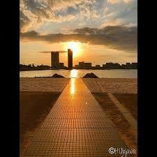 dlQjWuid7hBbYMy's profile picture. 素晴らしい日本の未来に期待したい！