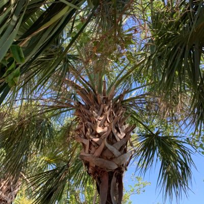 ThackerStevens's profile picture. Wife,mother and Grandma.